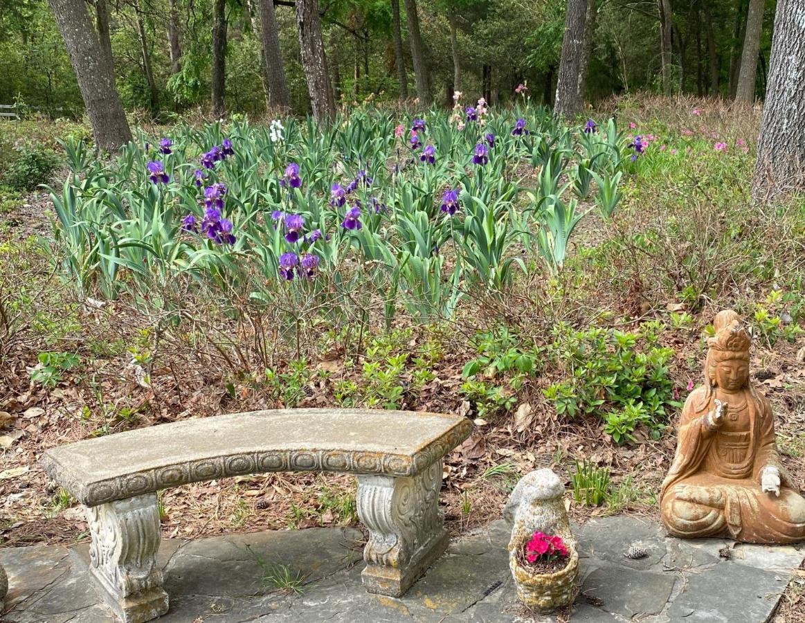 Dogwood Springs Lodgings Mineola Esterno foto