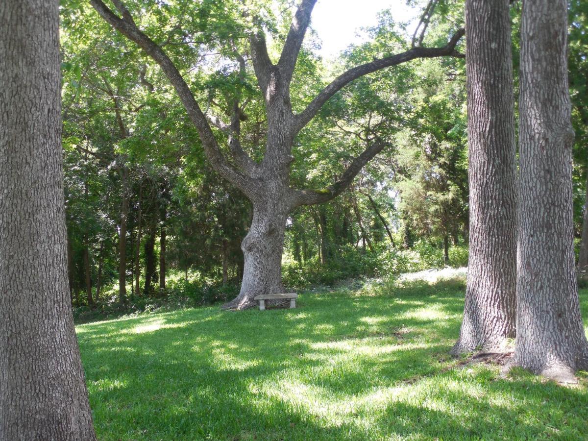 Dogwood Springs Lodgings Mineola Esterno foto
