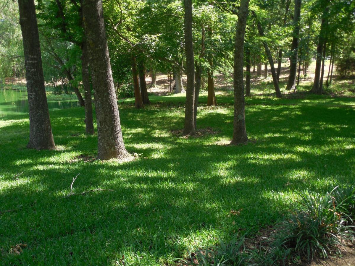 Dogwood Springs Lodgings Mineola Esterno foto
